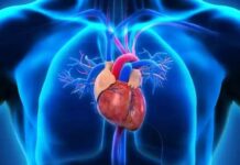 इस टेस्ट से पता लगाएं ह्दय रोगों के बारे में! इस टैस्ट से पता लगाए ह्दय रोगों के बारे में!